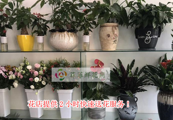 北京朝阳区花店提供北京朝阳区2小时快速送花服务