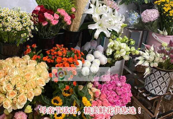 2024北京朝阳区母亲节送花,北京朝阳区精美鲜花供您选!